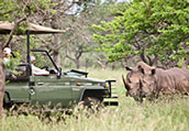 Rhino River Lodge